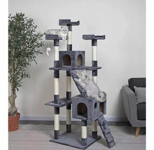 CAT 🐈 HOUSE 🏠 BIG