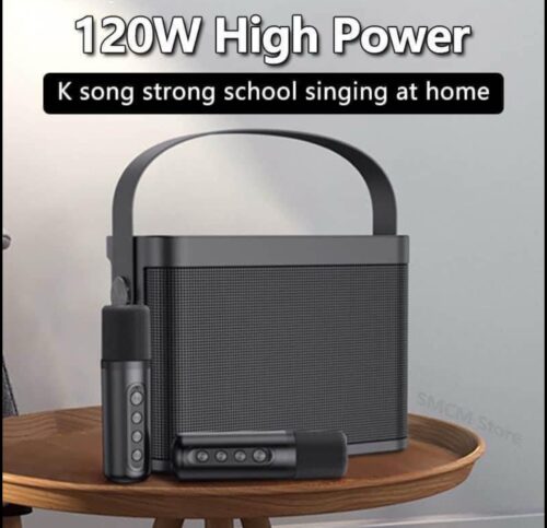 YS-209 Bluetooth Speaker With Microphone Portable Stereo Speaker 3D For Home Portable Karaoke YS209