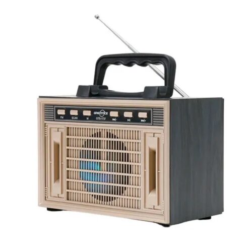 GTS 1737 Bluetooth Multi Radio & Speaker