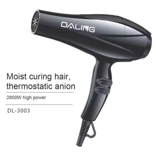 Daling DL-3007 Professional Fashion Hair Dryer Dg