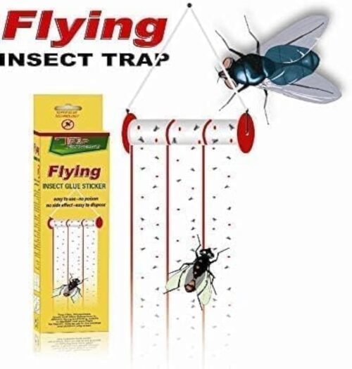Flying Insect Glue Sticker